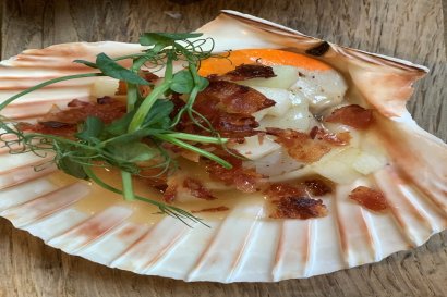 Scallop School Tuesday 20th February 2024